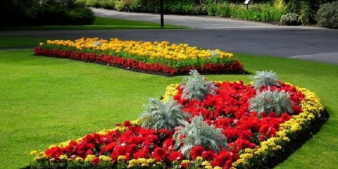 Vše, co potřebujete vědět o rabata!